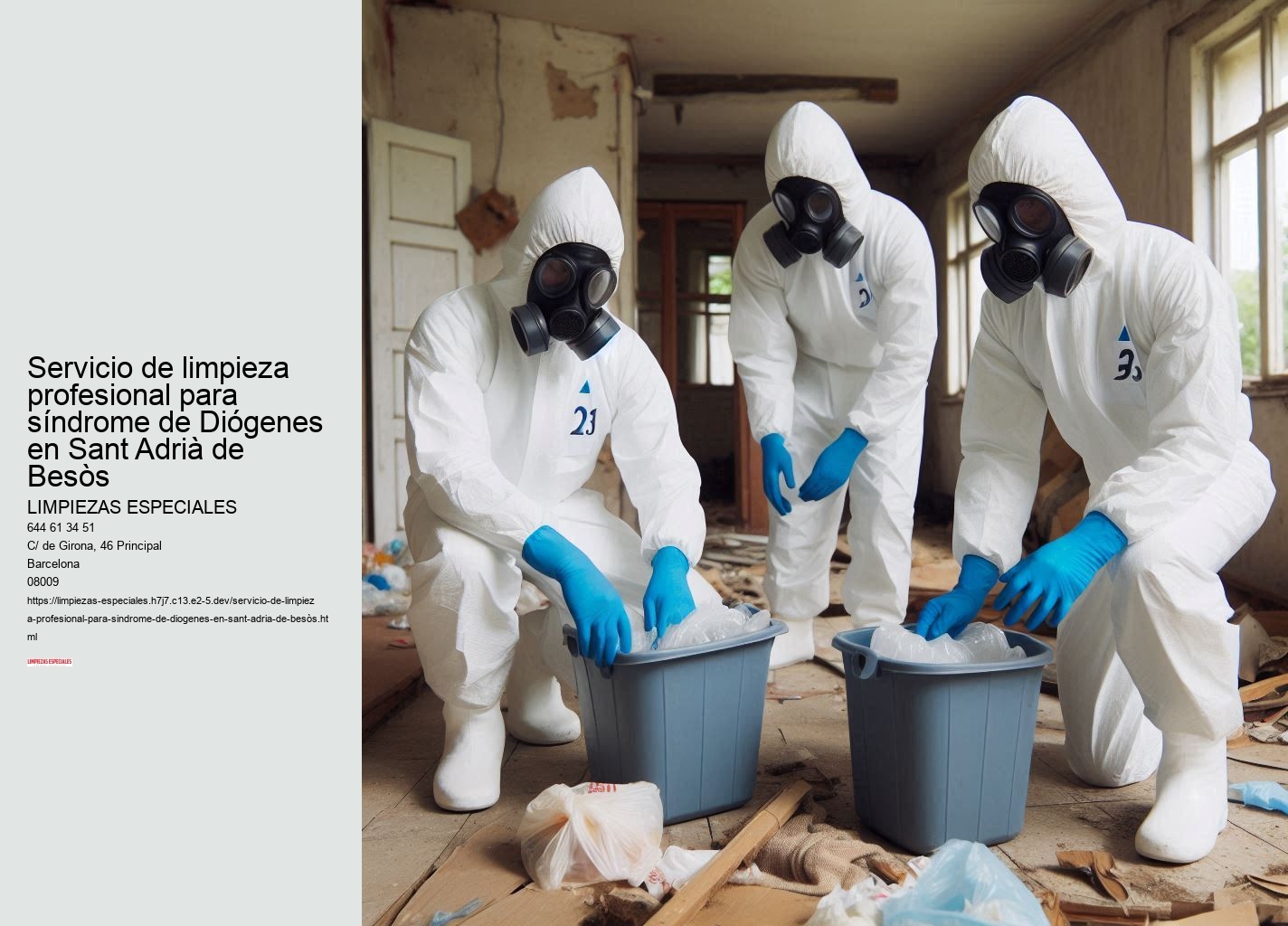 El papel de los servicios sociales en el síndrome de Diógenes